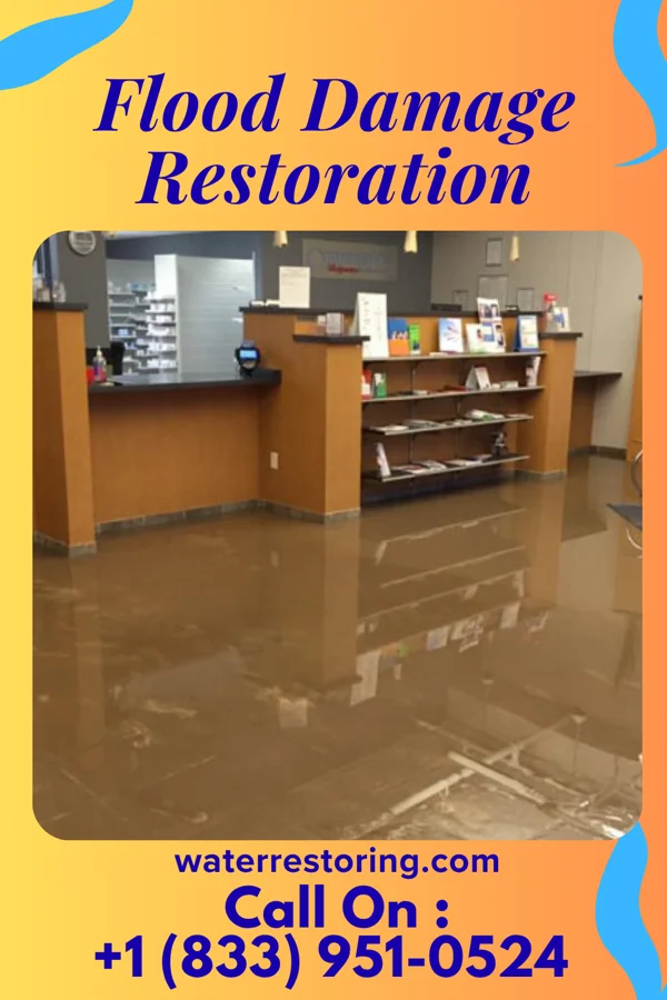 Flood Damage Restoration in Linoma Beach, NE