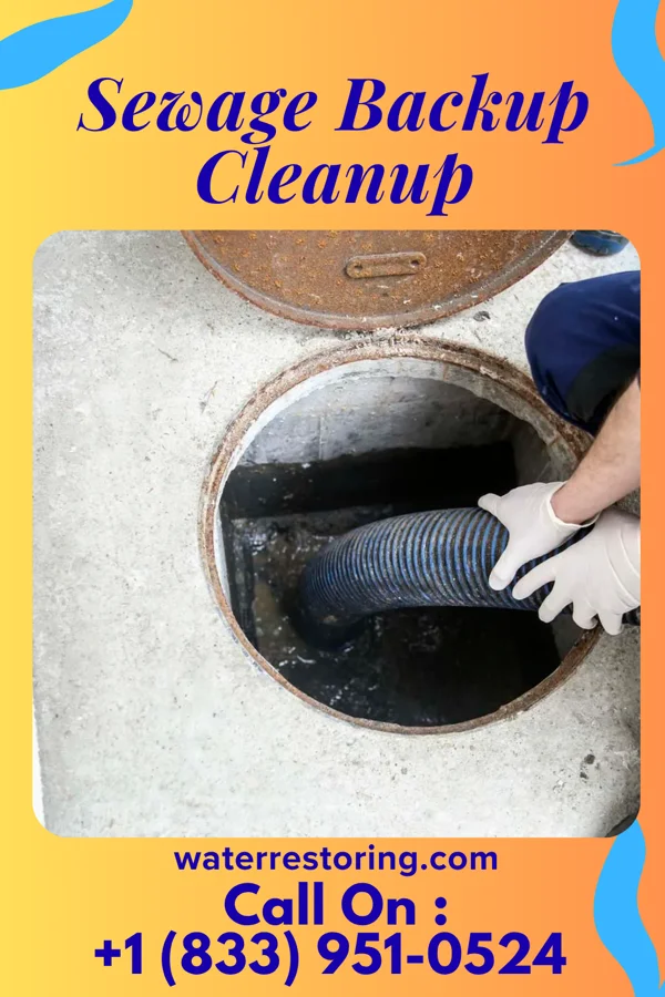 Sewage Backup Cleanup in Linoma Beach, NE